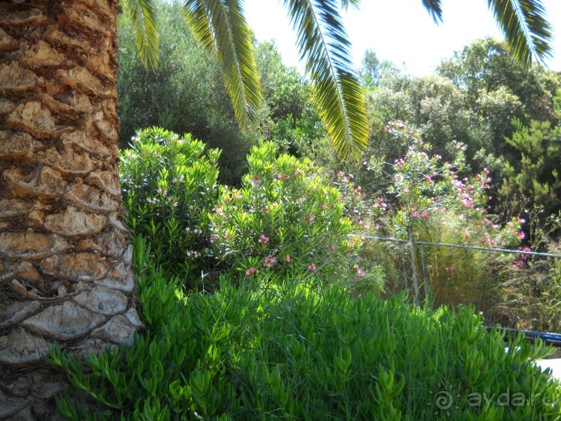 Отель для приличных людей