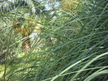 Отель для приличных людей