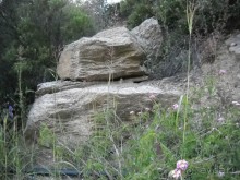 фото Aristoteles Holiday Resort