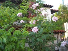 фото Aristoteles Holiday Resort