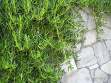 Отель для приличных людей