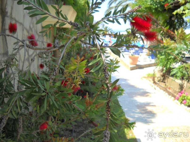 Отель для приличных людей