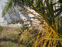 Отель для приличных людей