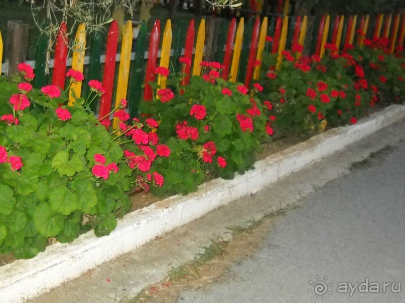 фото Aristoteles Holiday Resort