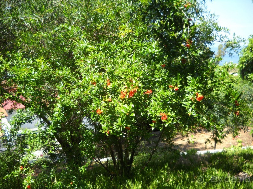 Отель для приличных людей