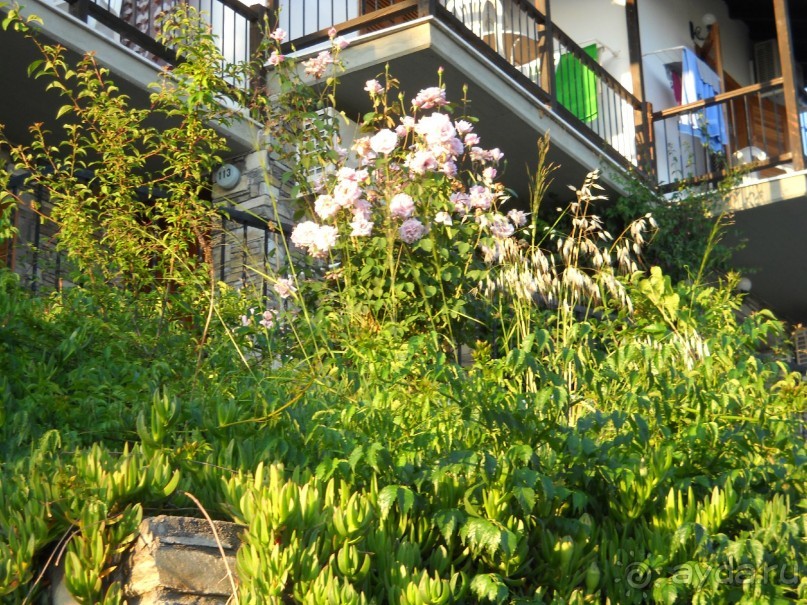 Отель для приличных людей