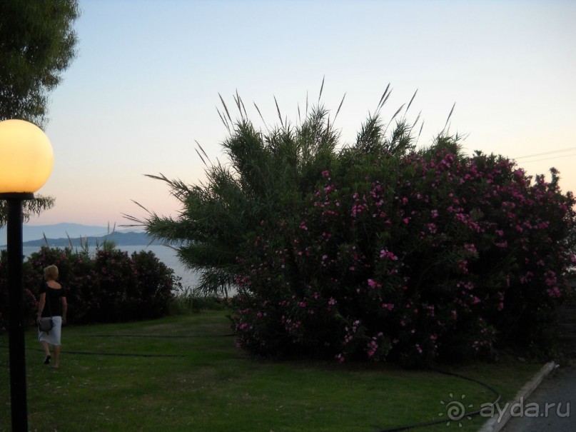 Отель для приличных людей