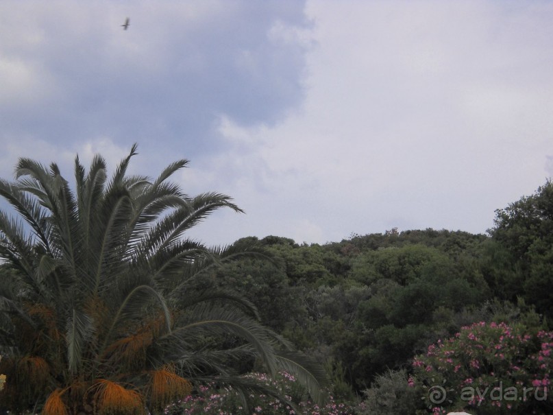 Отель для приличных людей