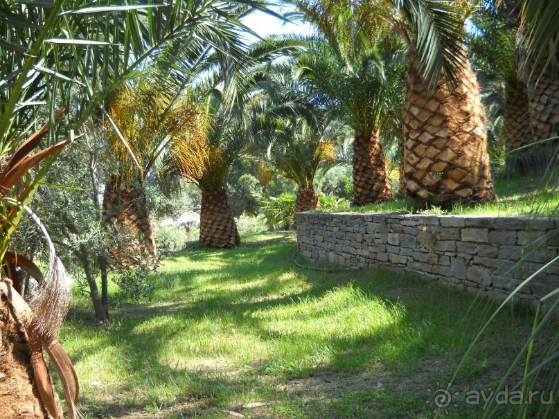 Отель для приличных людей