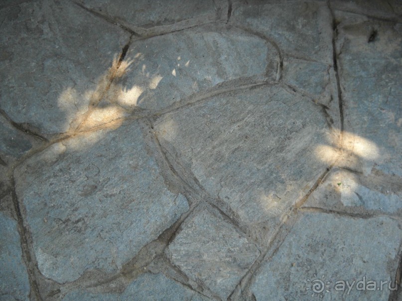 Отель для приличных людей