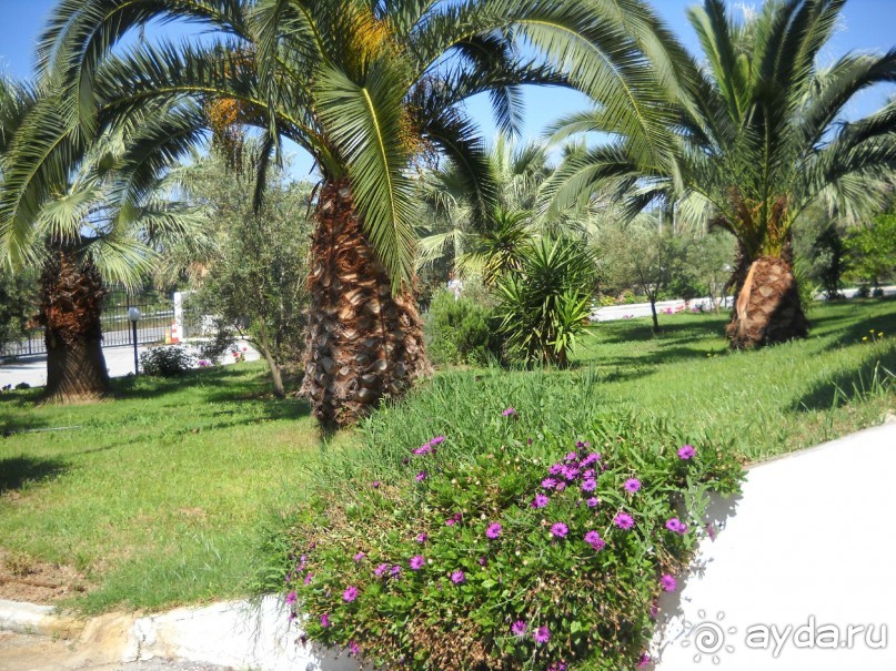 Отель для приличных людей