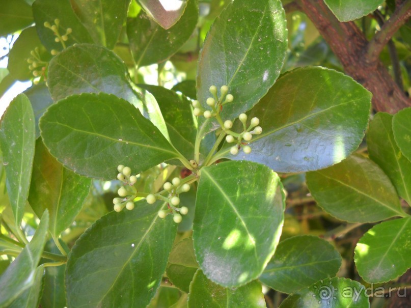 Отель для приличных людей