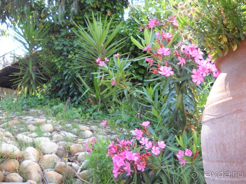 Отель для приличных людей