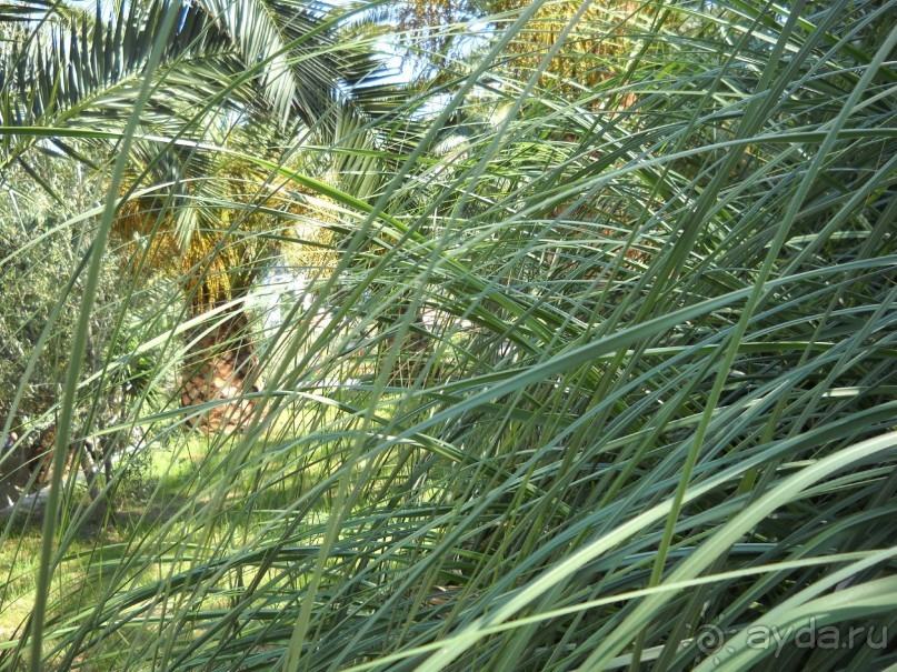 Отель для приличных людей