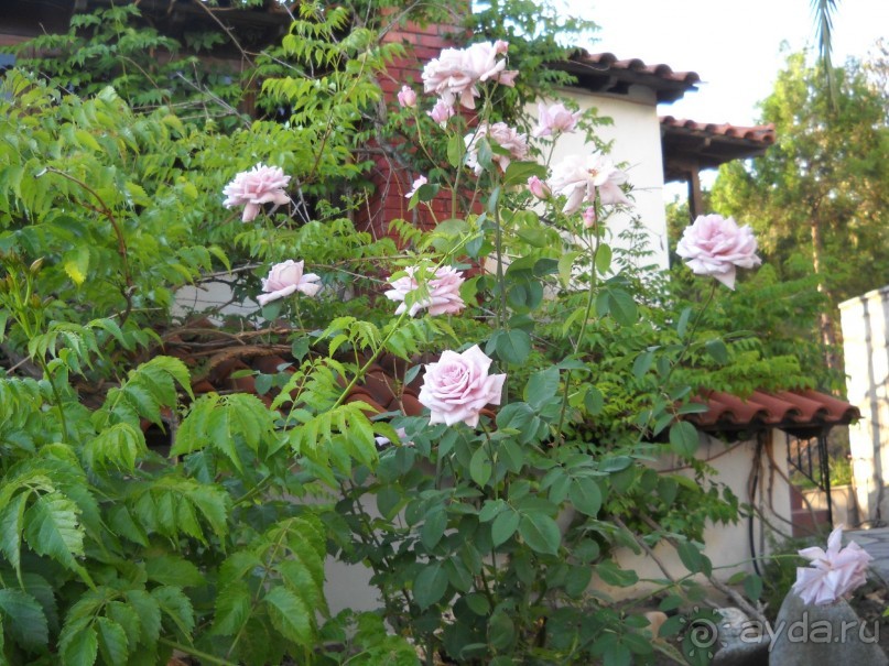 Отель для приличных людей