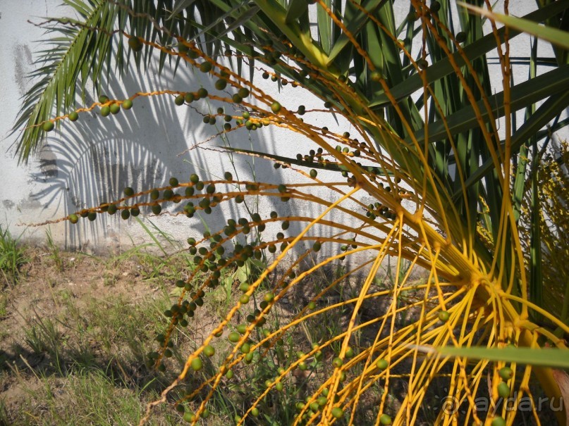 Отель для приличных людей