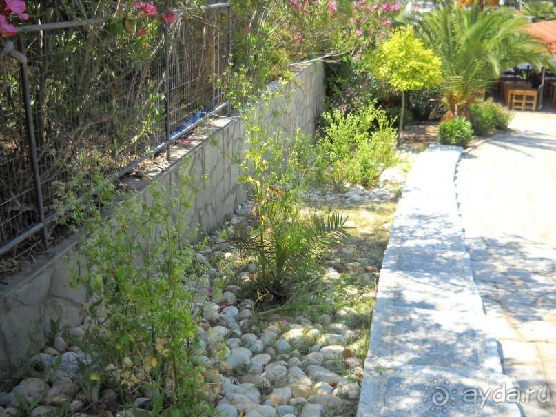 Отель для приличных людей