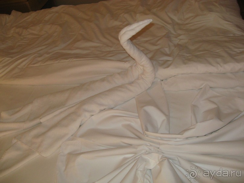 фото Crown Resorts Elamaris