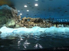 Тенерифе 2014