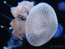 Тенерифе 2014