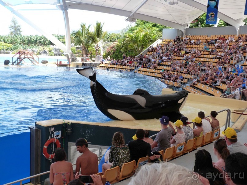 Тенерифе 2014