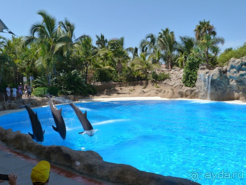 Тенерифе 2014