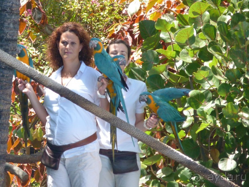 Тенерифе 2014