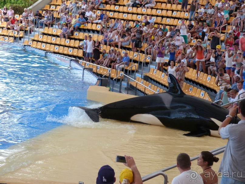 Тенерифе 2014