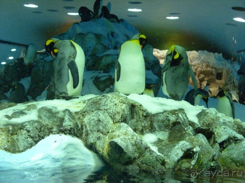 Тенерифе 2014