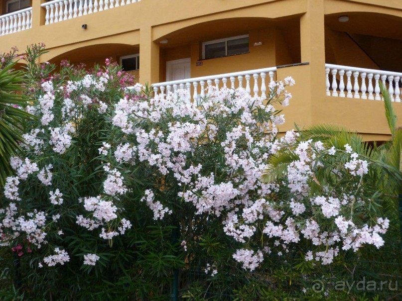 фото Пуэрто де Сантьяго