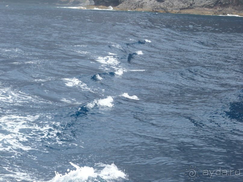 Райский уголок!