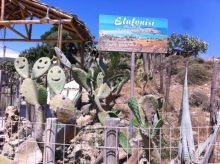 фото Fereniki Resort & Spa