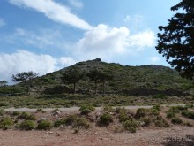 фото Fereniki Resort & Spa