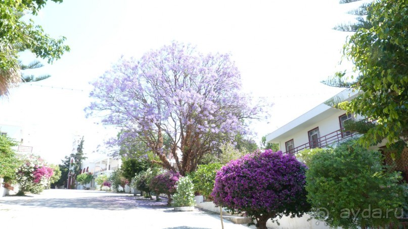 фото Fereniki Resort & Spa