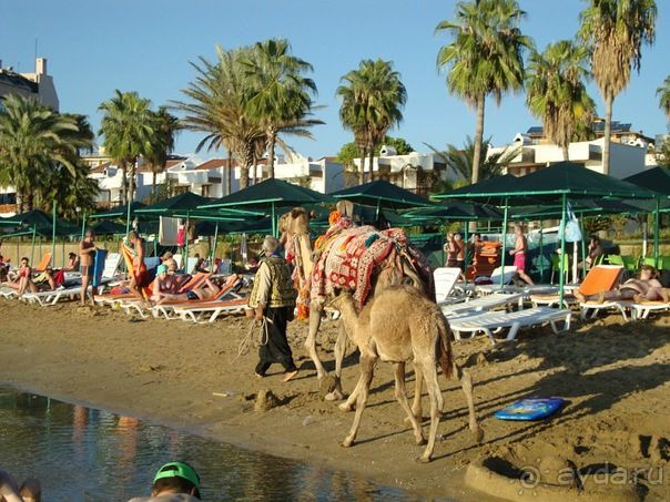 Замечательно!!!!