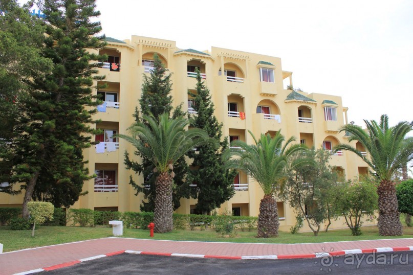 Первые впечатления