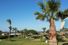 Первые впечатления