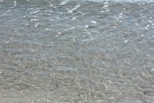 Первые впечатления