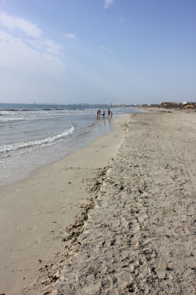 Первые впечатления