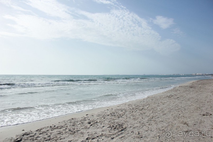 Первые впечатления