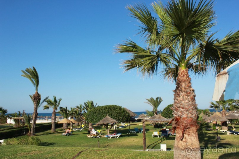 Первые впечатления