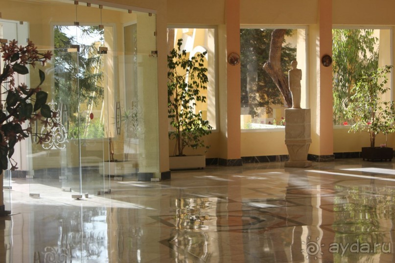 Первые впечатления