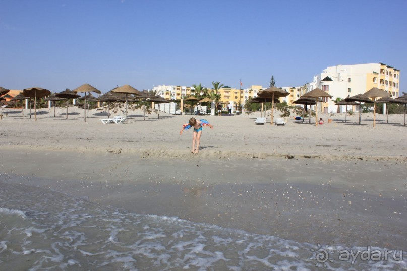 Первые впечатления