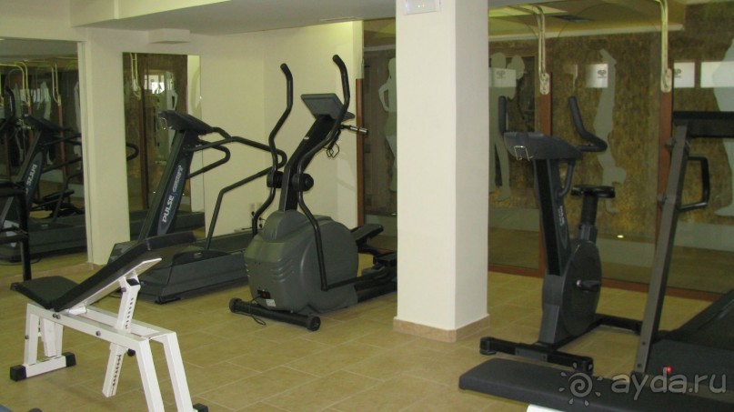 Мечты сбываются