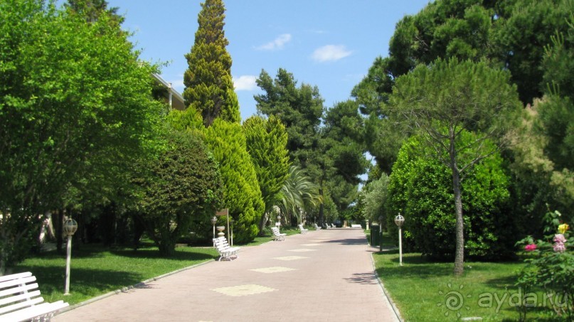 Мечты сбываются