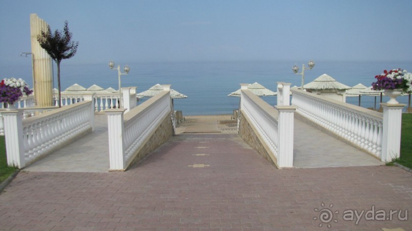 Мечты сбываются