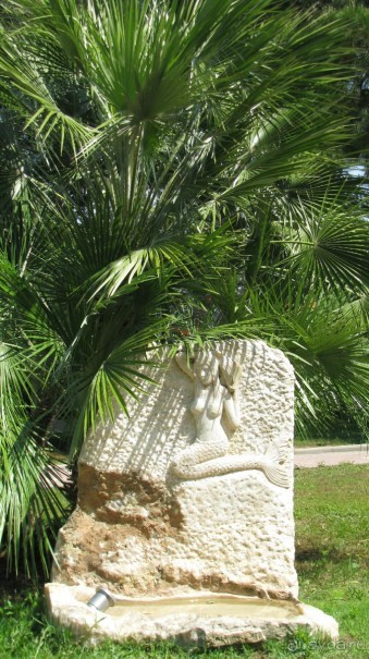 Мечты сбываются