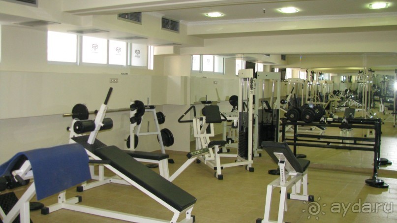 Мечты сбываются