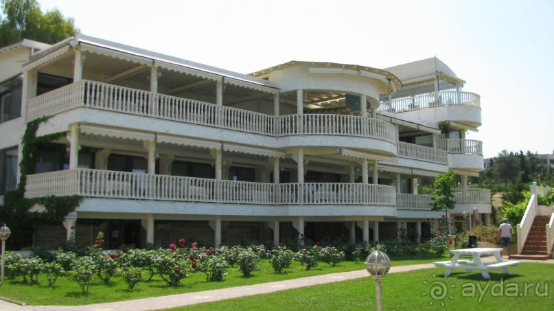 Мечты сбываются