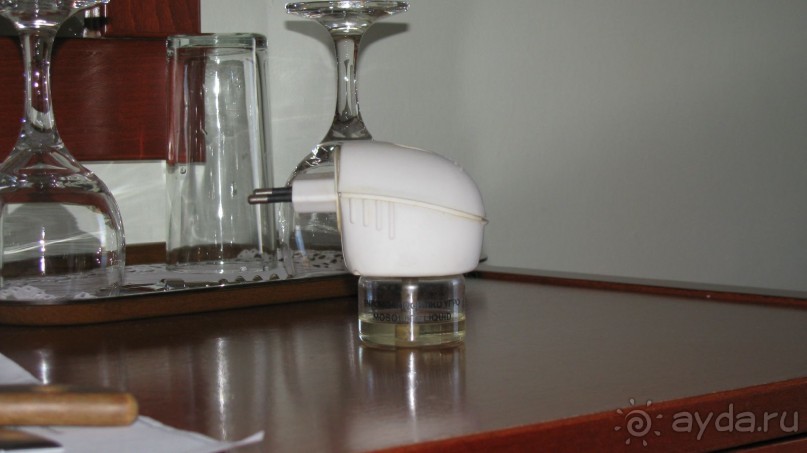 Мечты сбываются